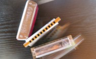 Mundharmonika Workshop am Sa. 16. März / Video Blues Harp